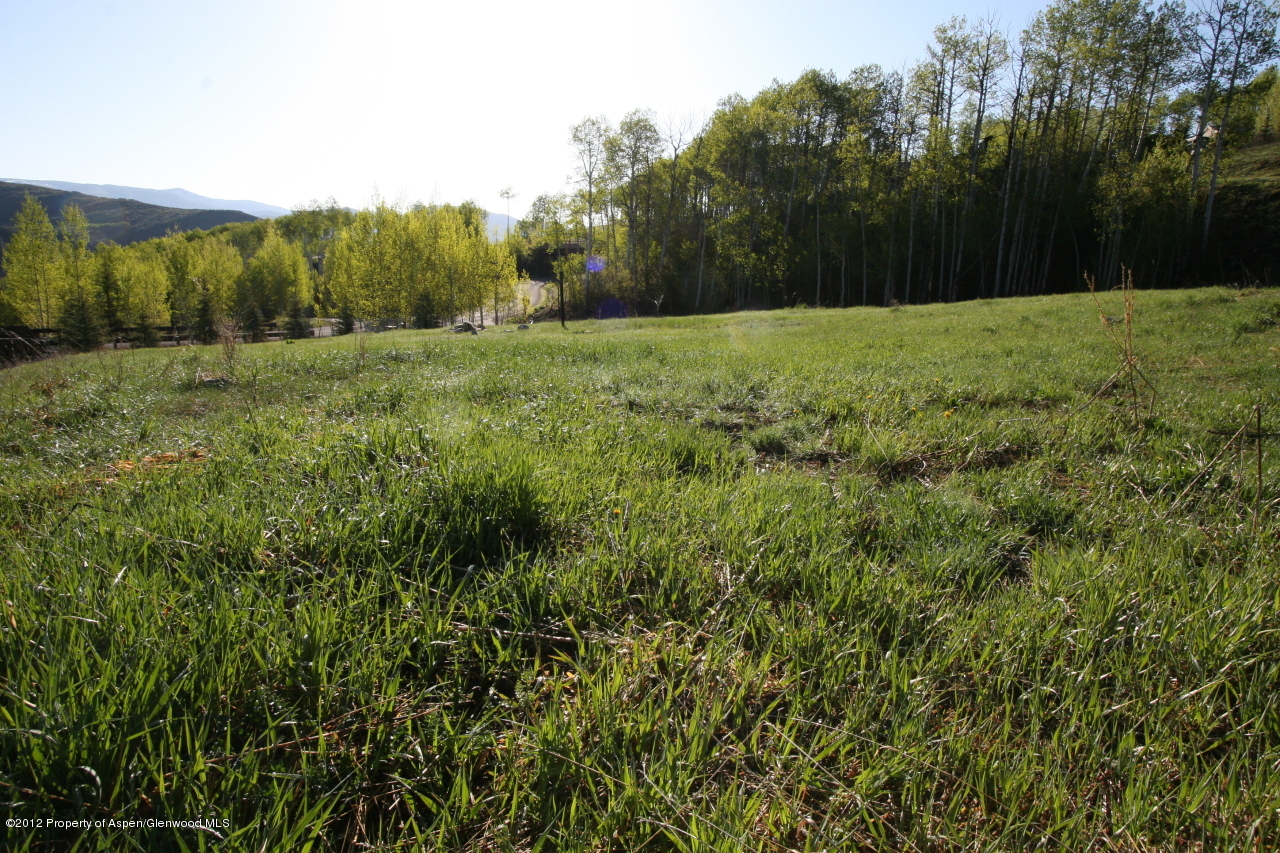 841 Serviceberry Snowmass Village CO 81615