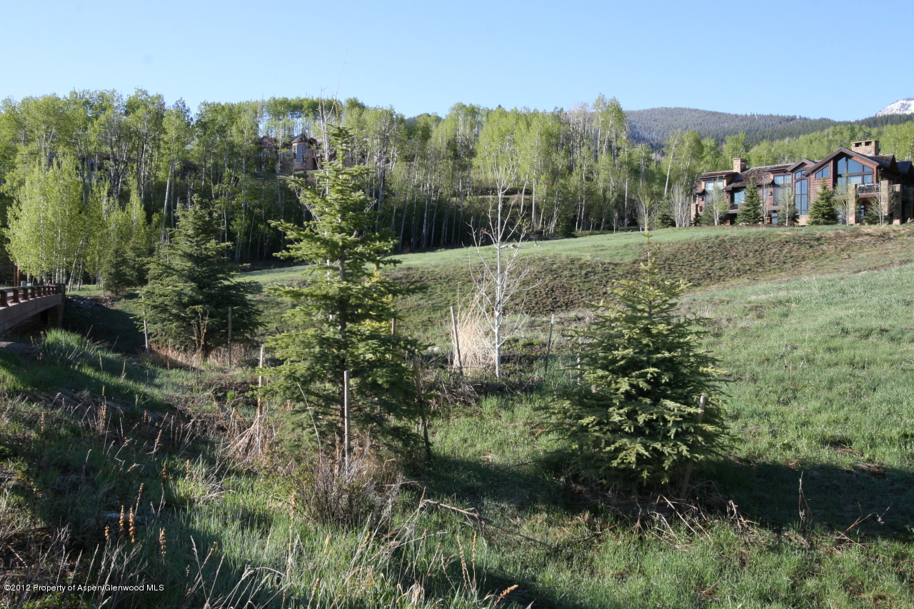 841 Serviceberry Snowmass Village CO 81615