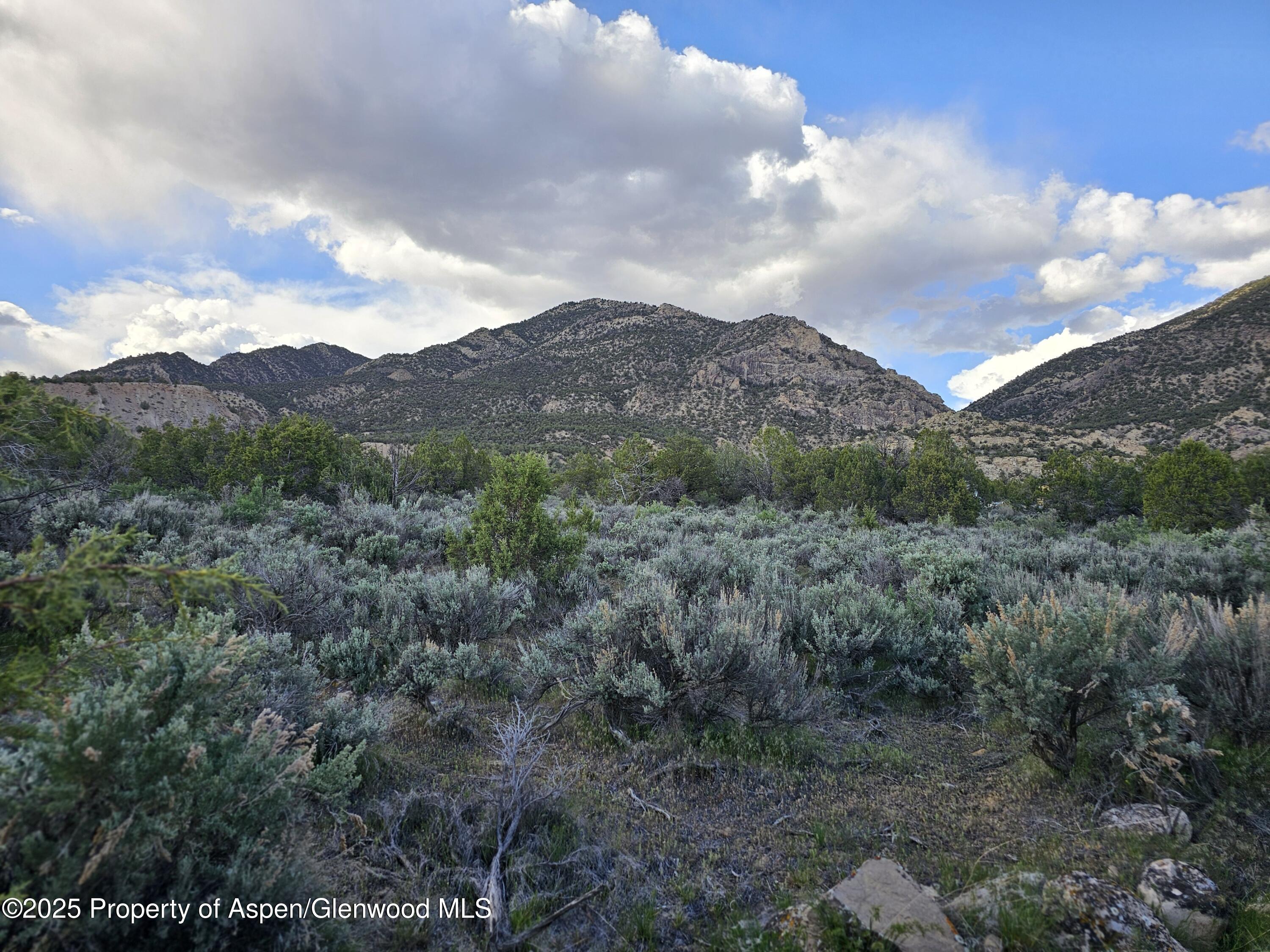 Tract 3 Scutter Lane Rifle CO 81650