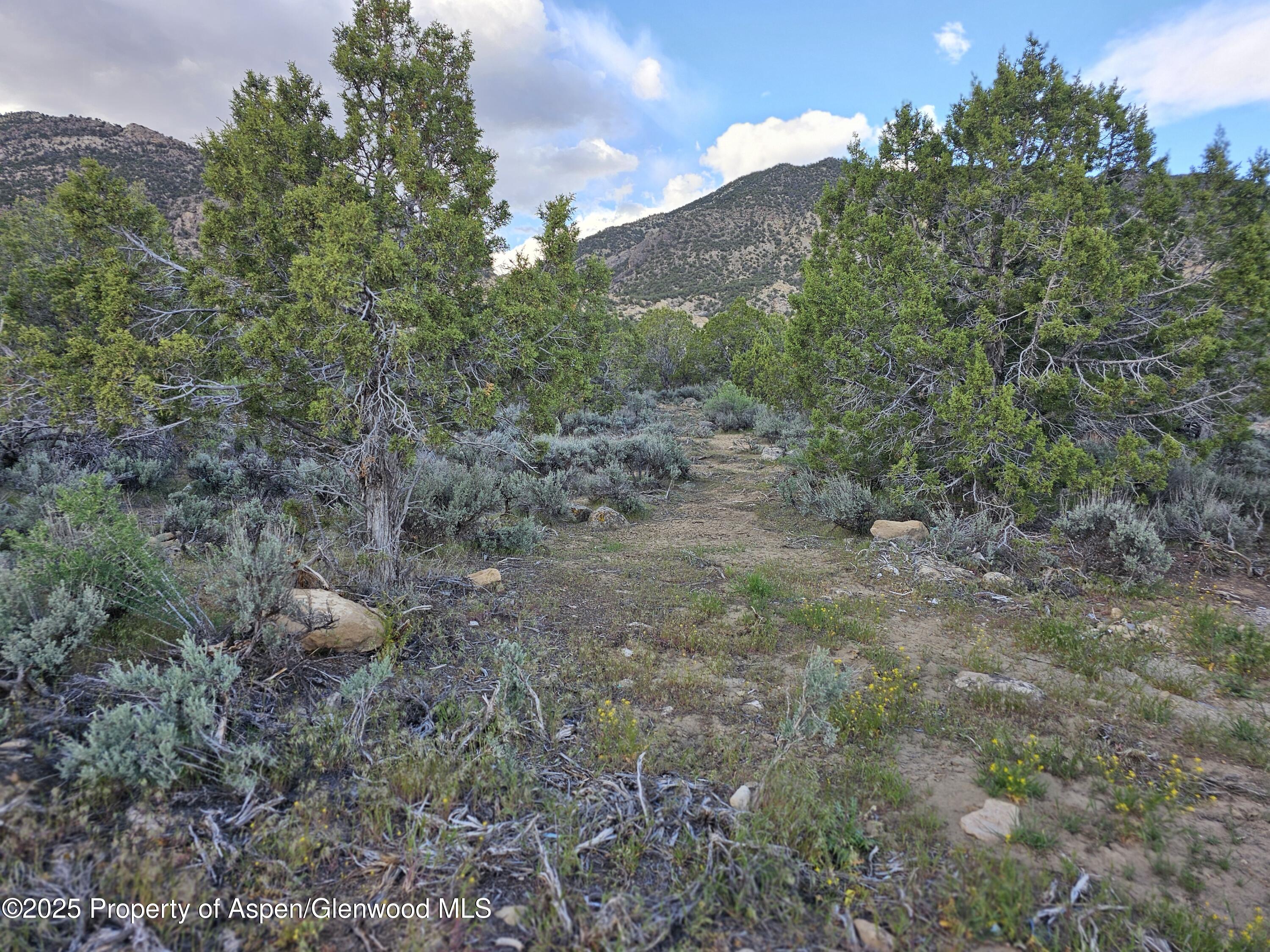 Tract 3 Scutter Lane Rifle CO 81650