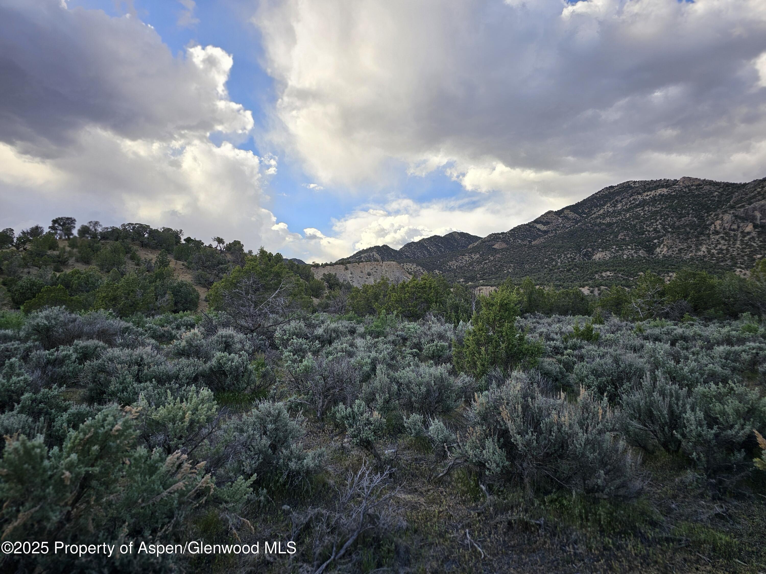 Tract 3 Scutter Lane Rifle CO 81650