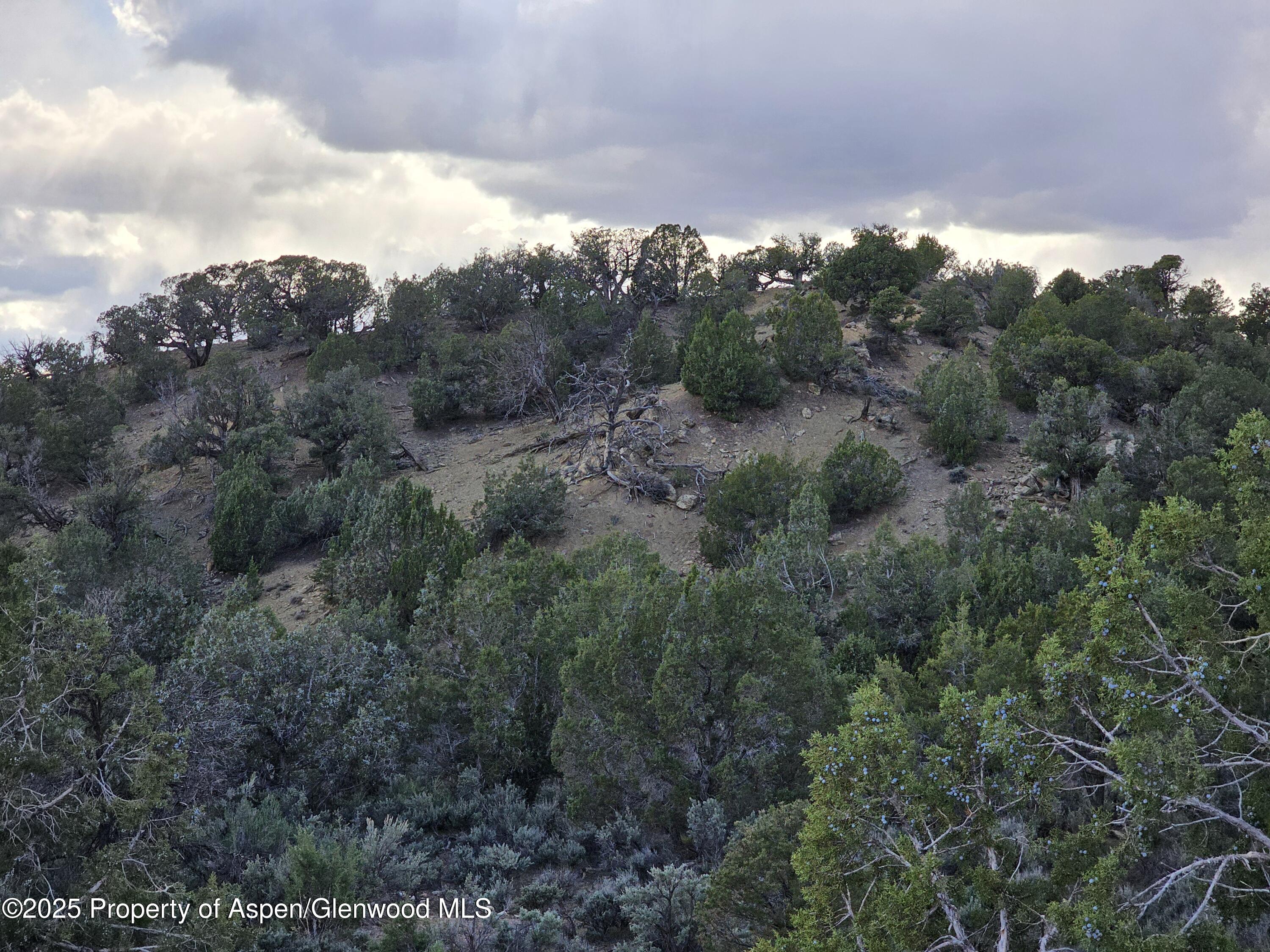 Tract 3 Scutter Lane Rifle CO 81650