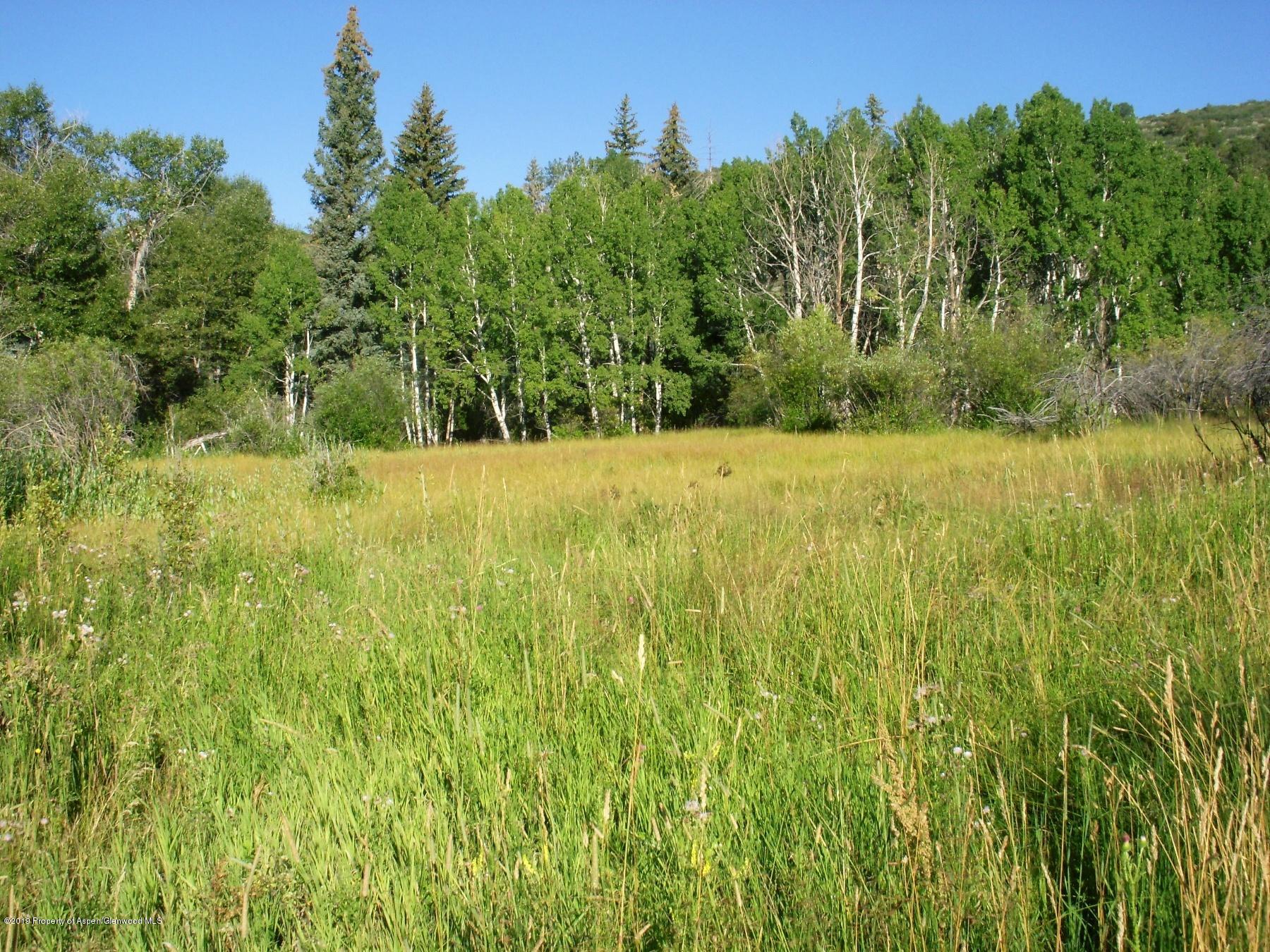 Tbd County Road 121 Glenwood Springs CO 81601