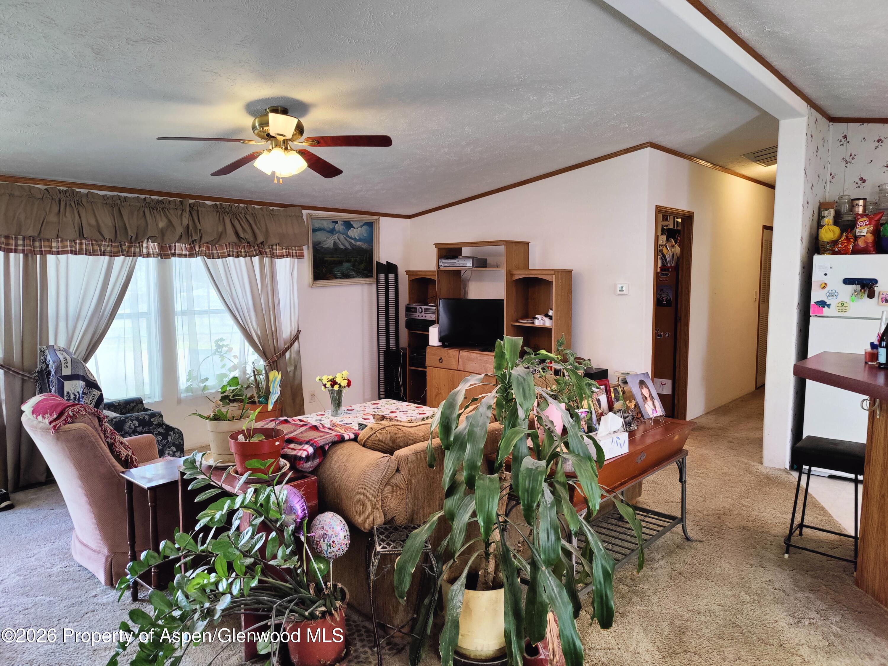 5387 County Road 154 Glenwood Springs CO 81601