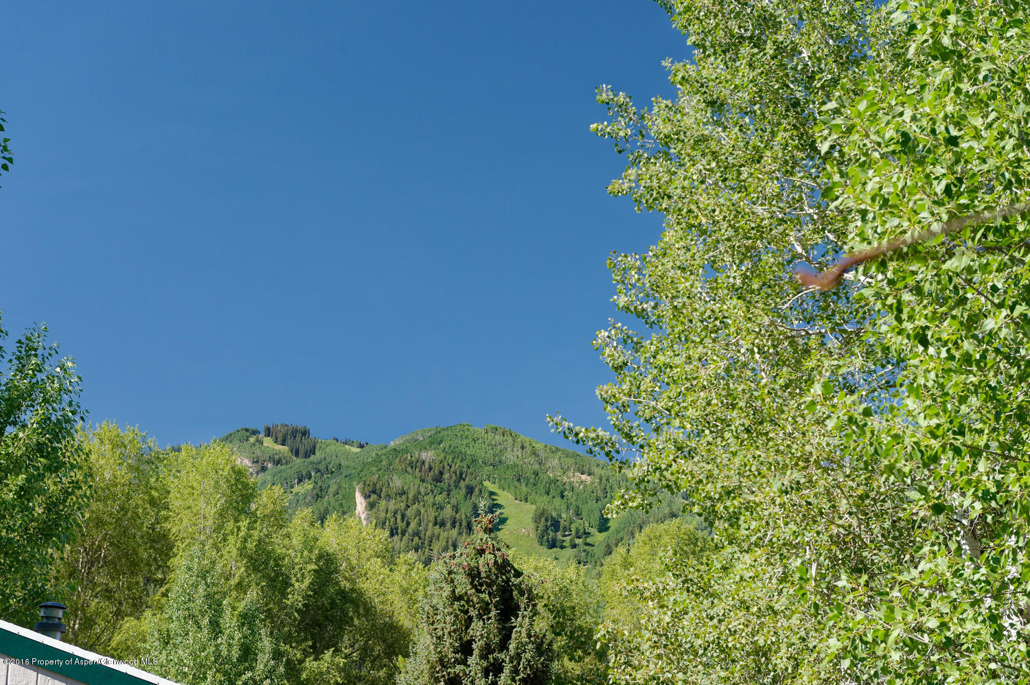 228 Cottonwood Lane Aspen CO 81611