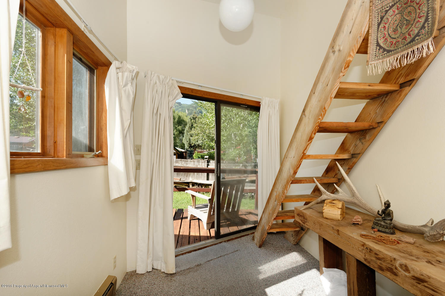 228 Cottonwood Lane Aspen CO 81611