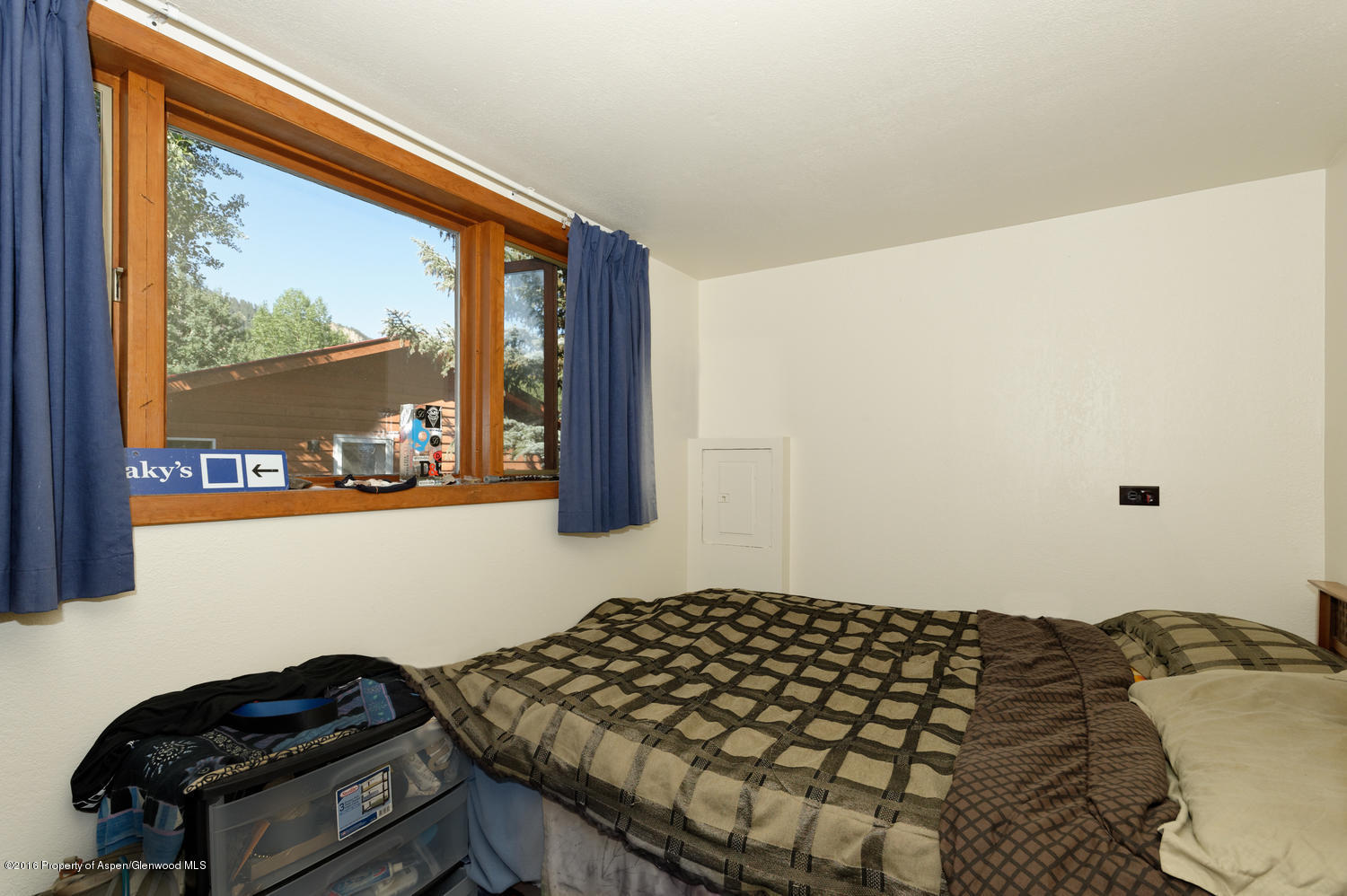 228 Cottonwood Lane Aspen CO 81611