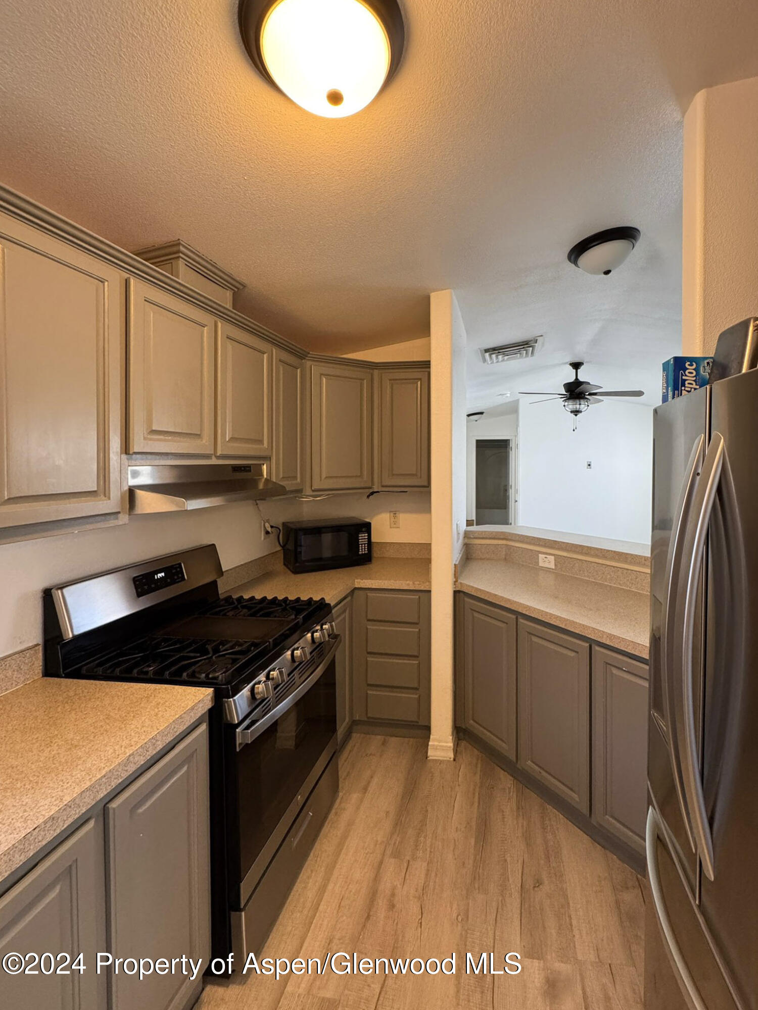 1900 Willits Lane Basalt CO 81621