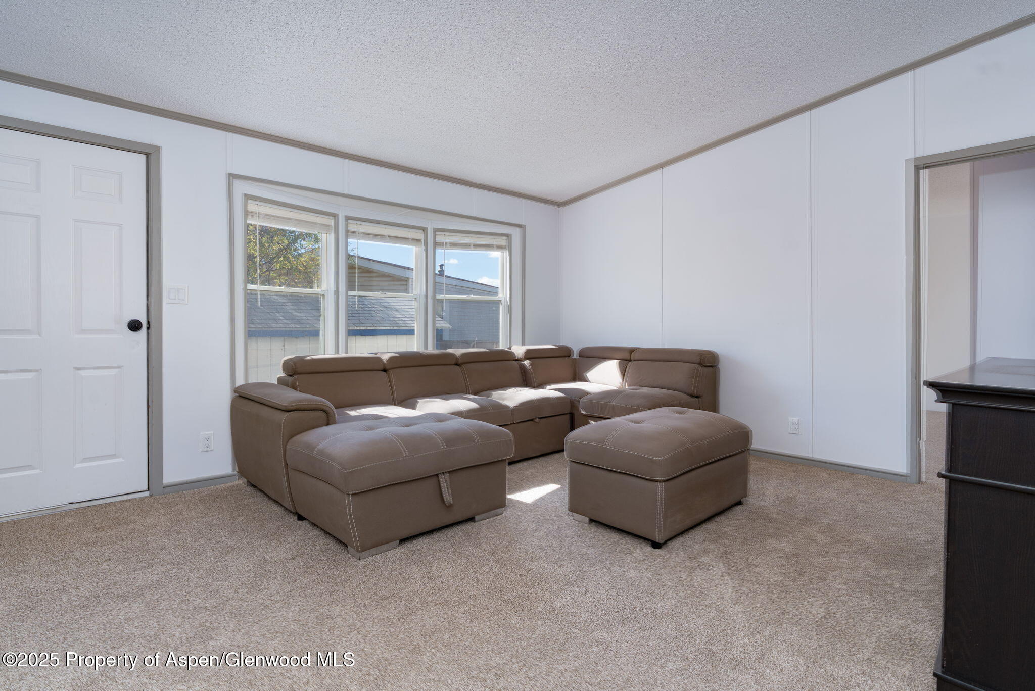 73 Silver Queen Circle Parachute CO 81635