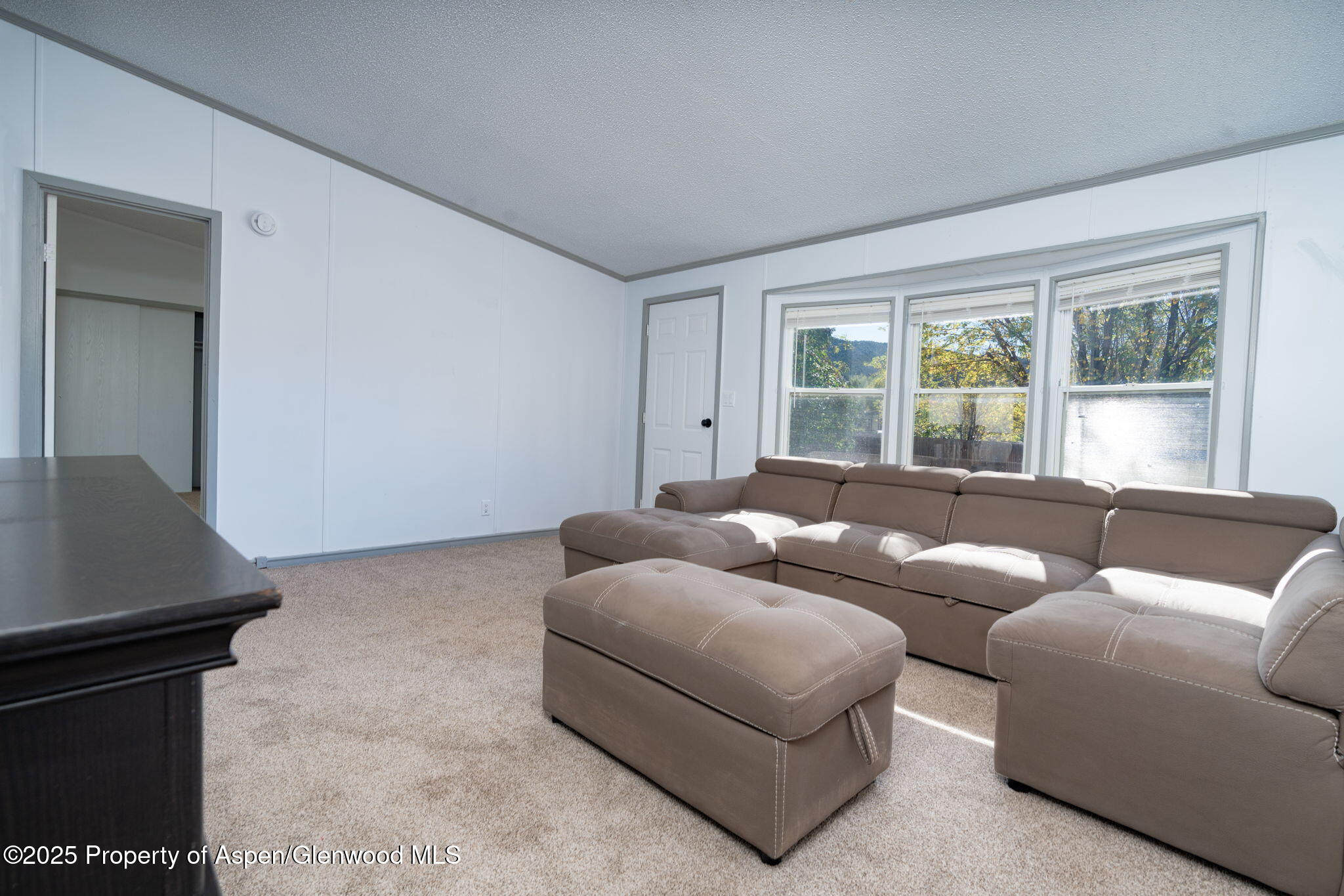 73 Silver Queen Circle Parachute CO 81635