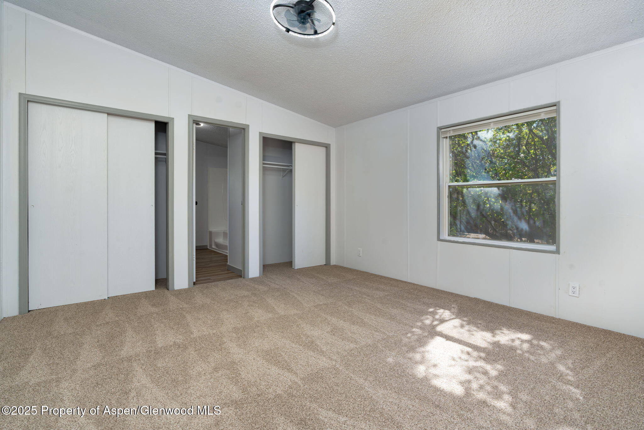 73 Silver Queen Circle Parachute CO 81635