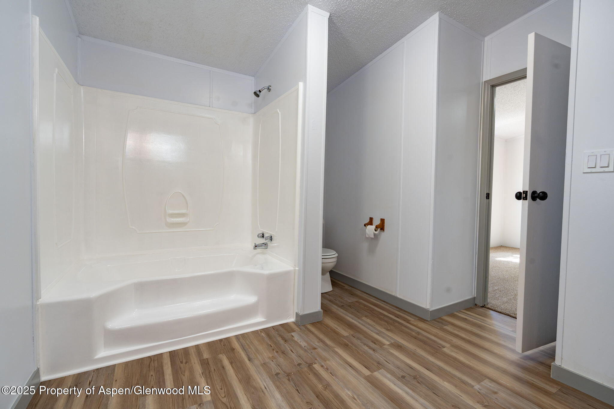 73 Silver Queen Circle Parachute CO 81635