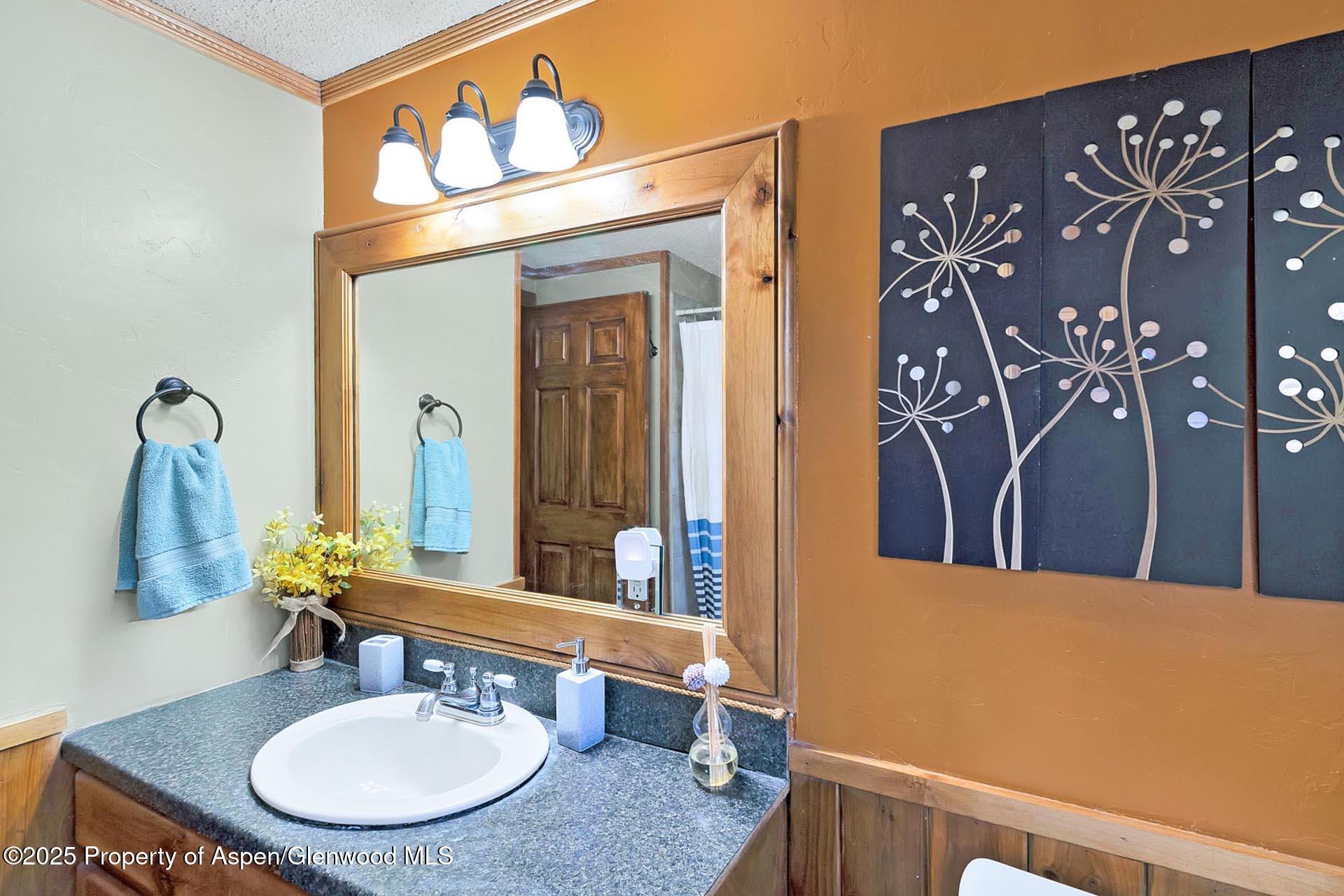 5387 County Road 154 Glenwood Springs CO 81601