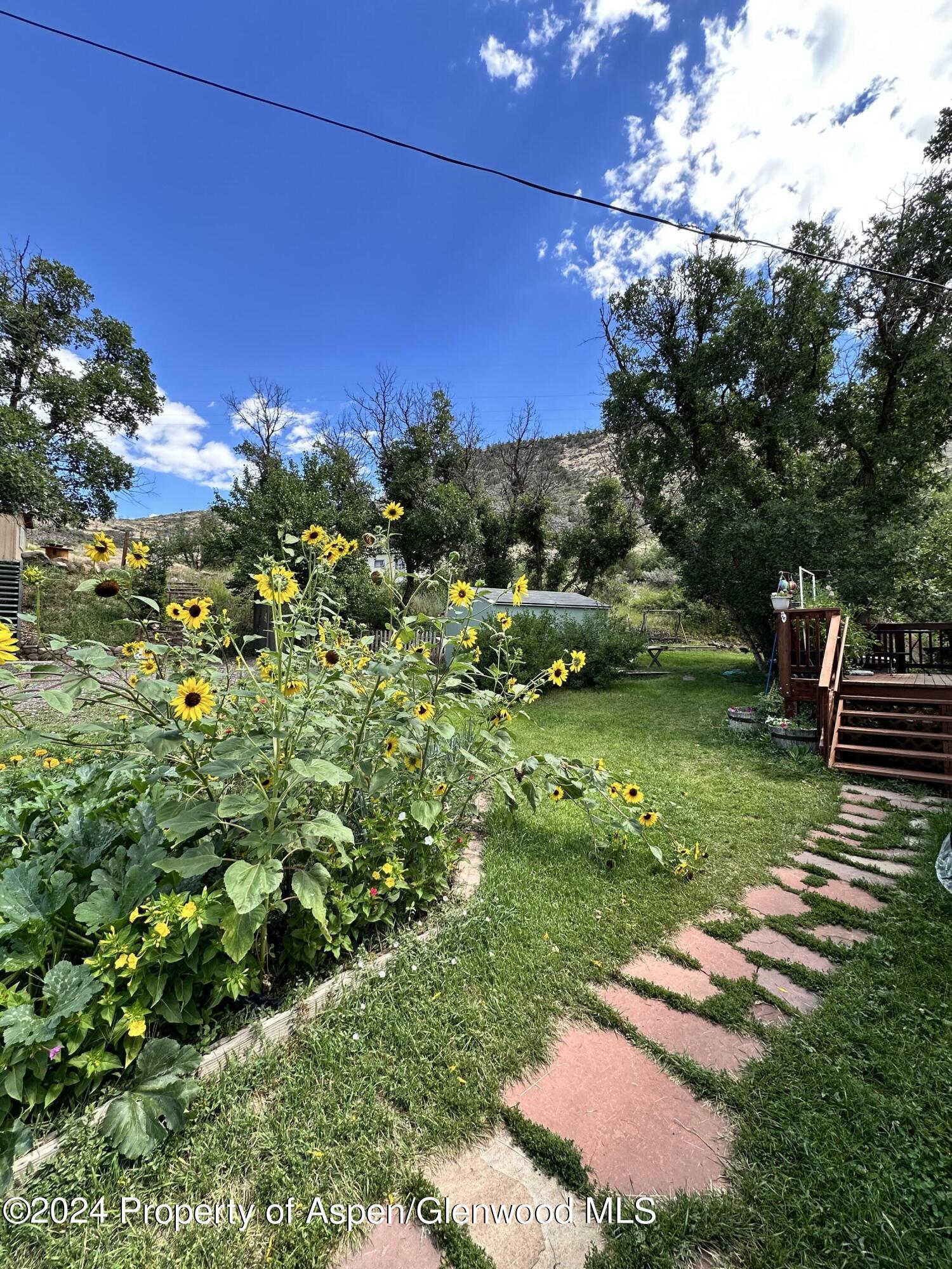 220 Clark Drive Eljebel CO 81623