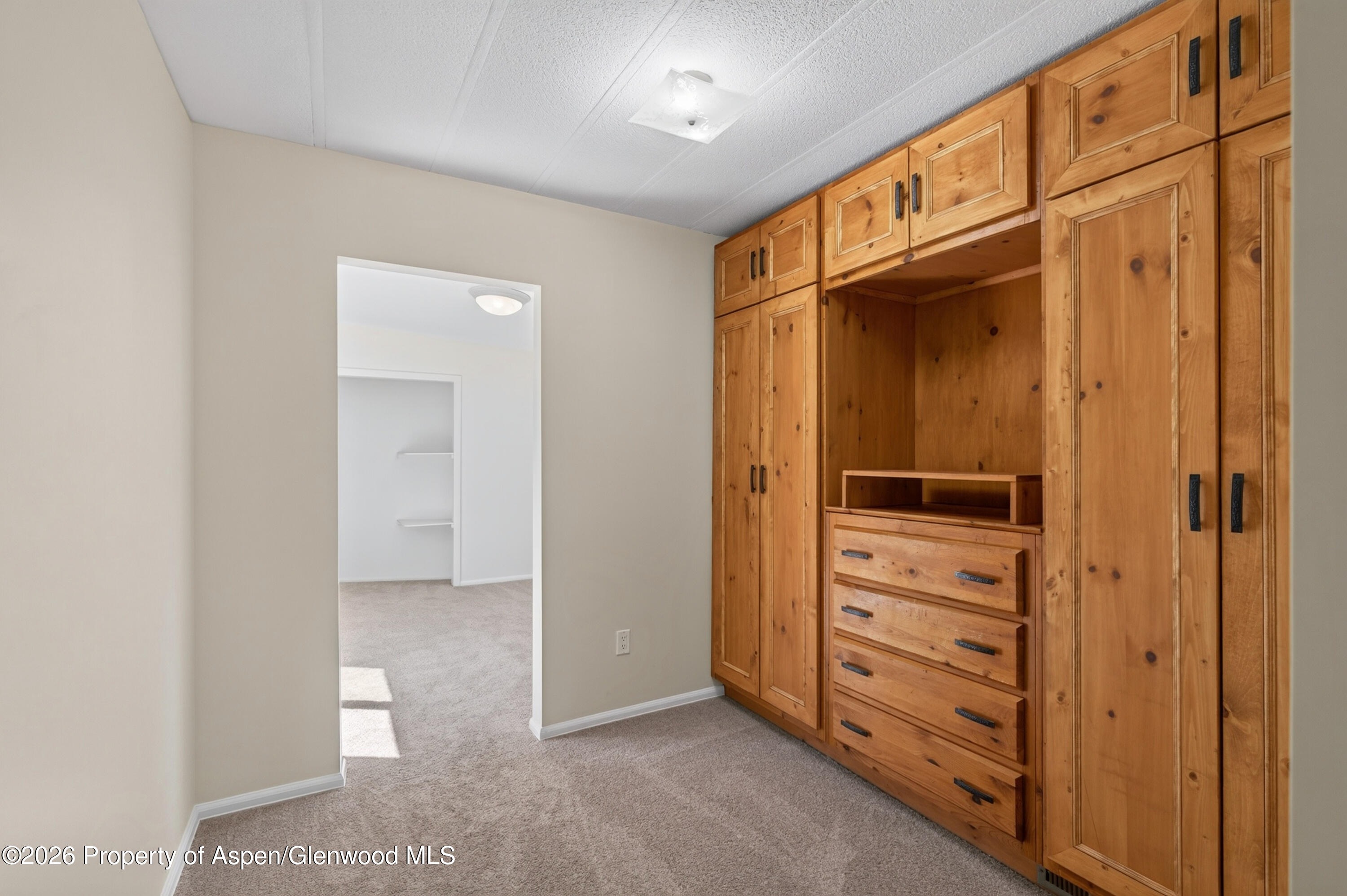 49 Grey Wolf Aspen CO 81611