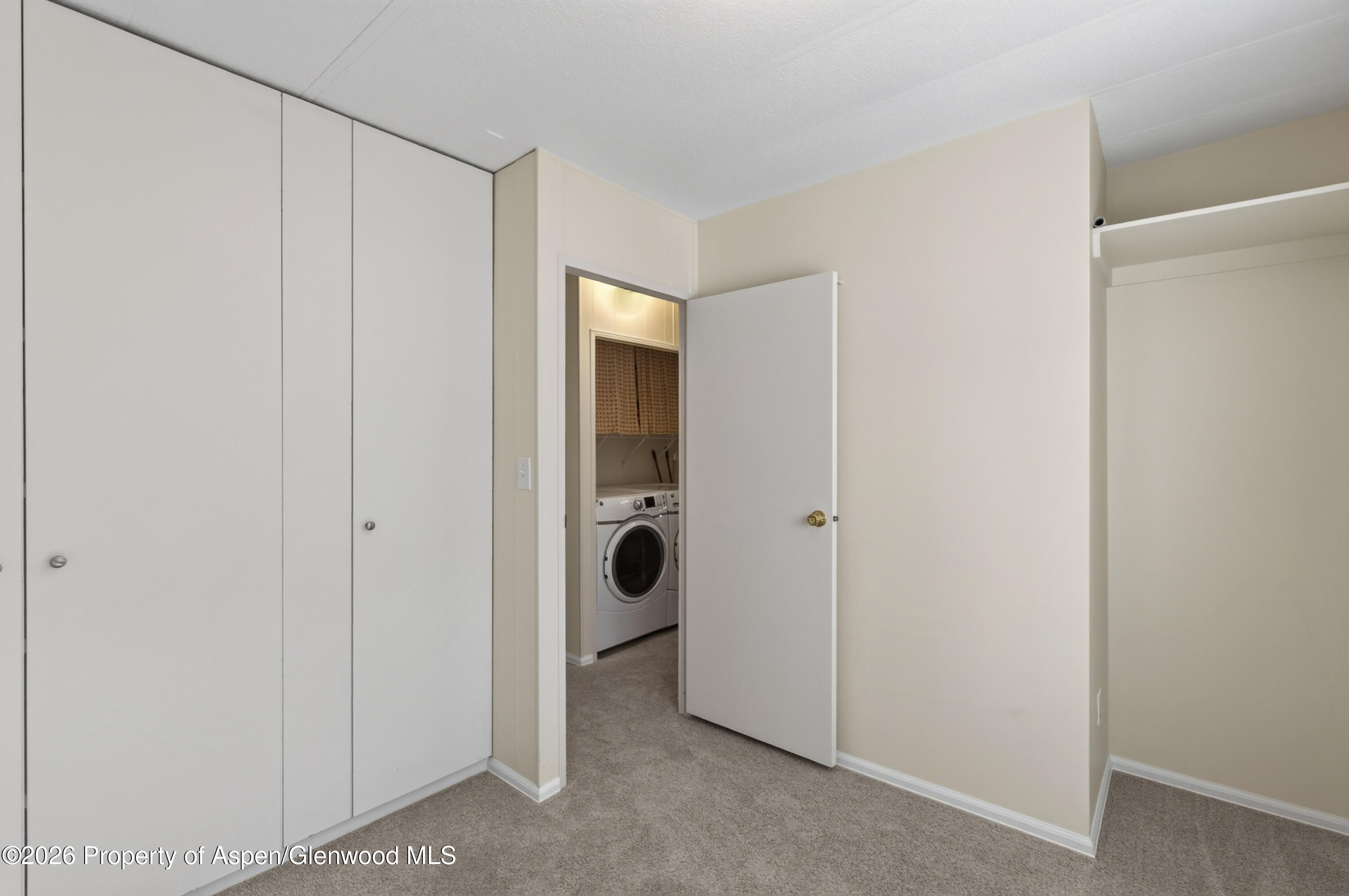 49 Grey Wolf Aspen CO 81611