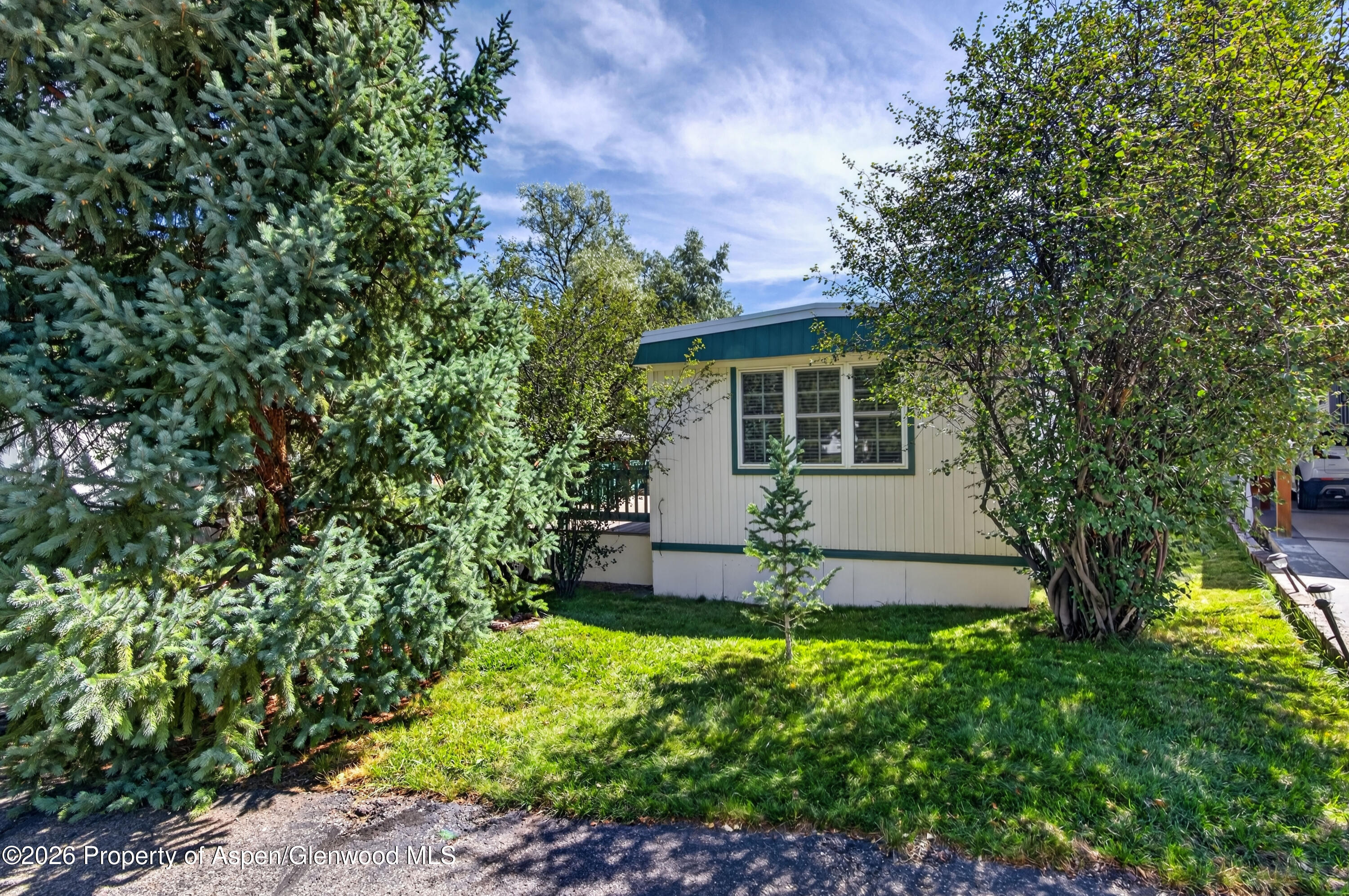 49 Grey Wolf Aspen CO 81611