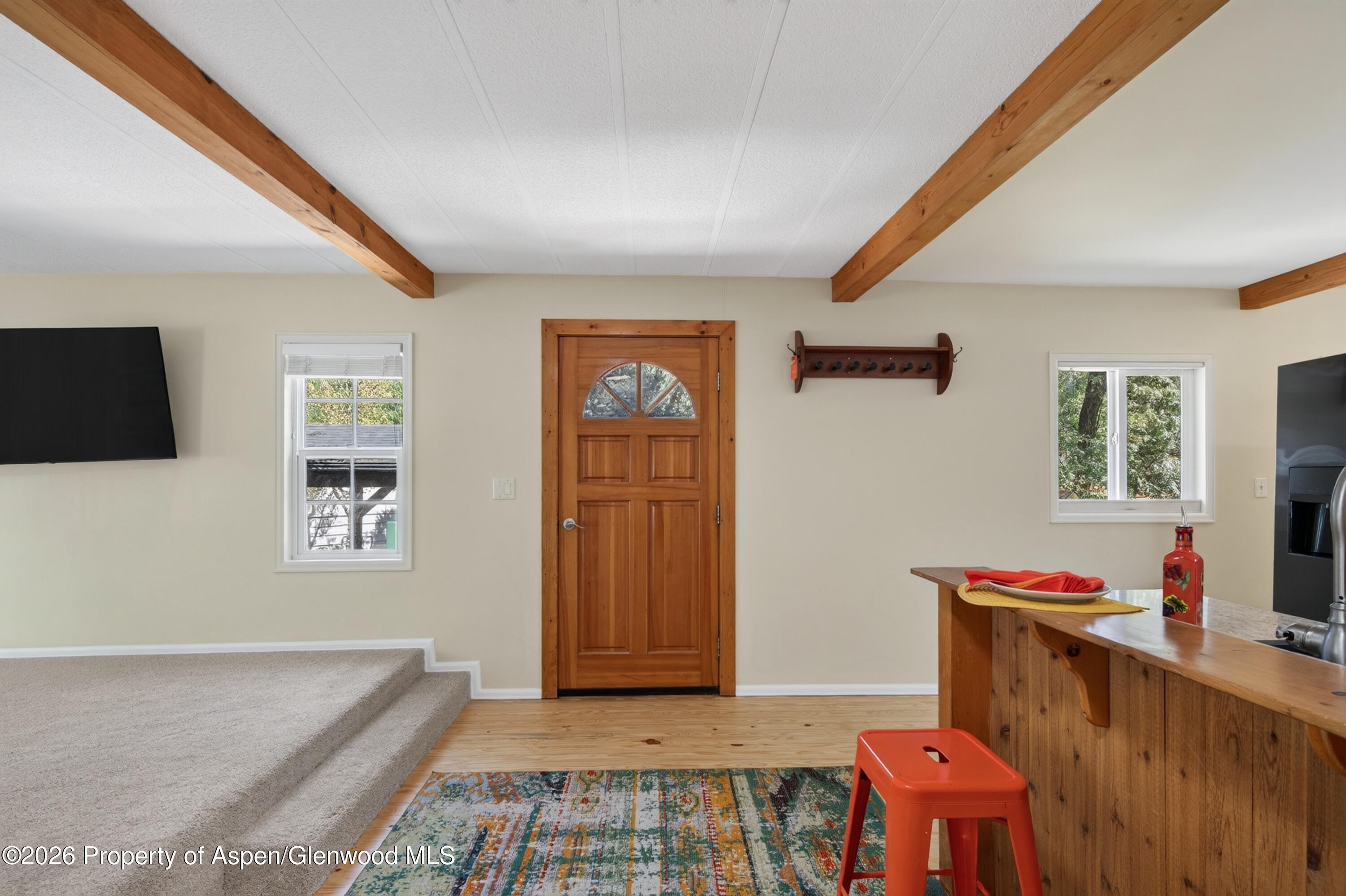 49 Grey Wolf Aspen CO 81611