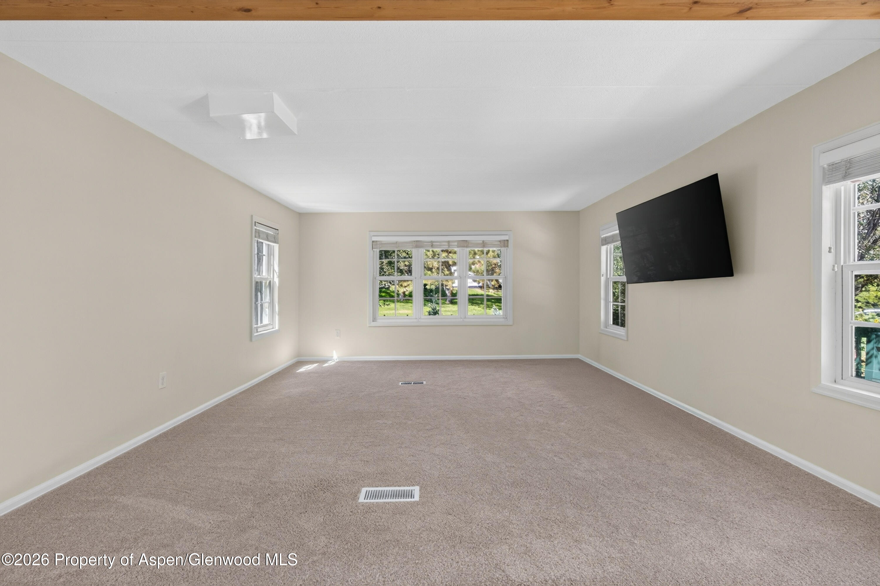 49 Grey Wolf Aspen CO 81611