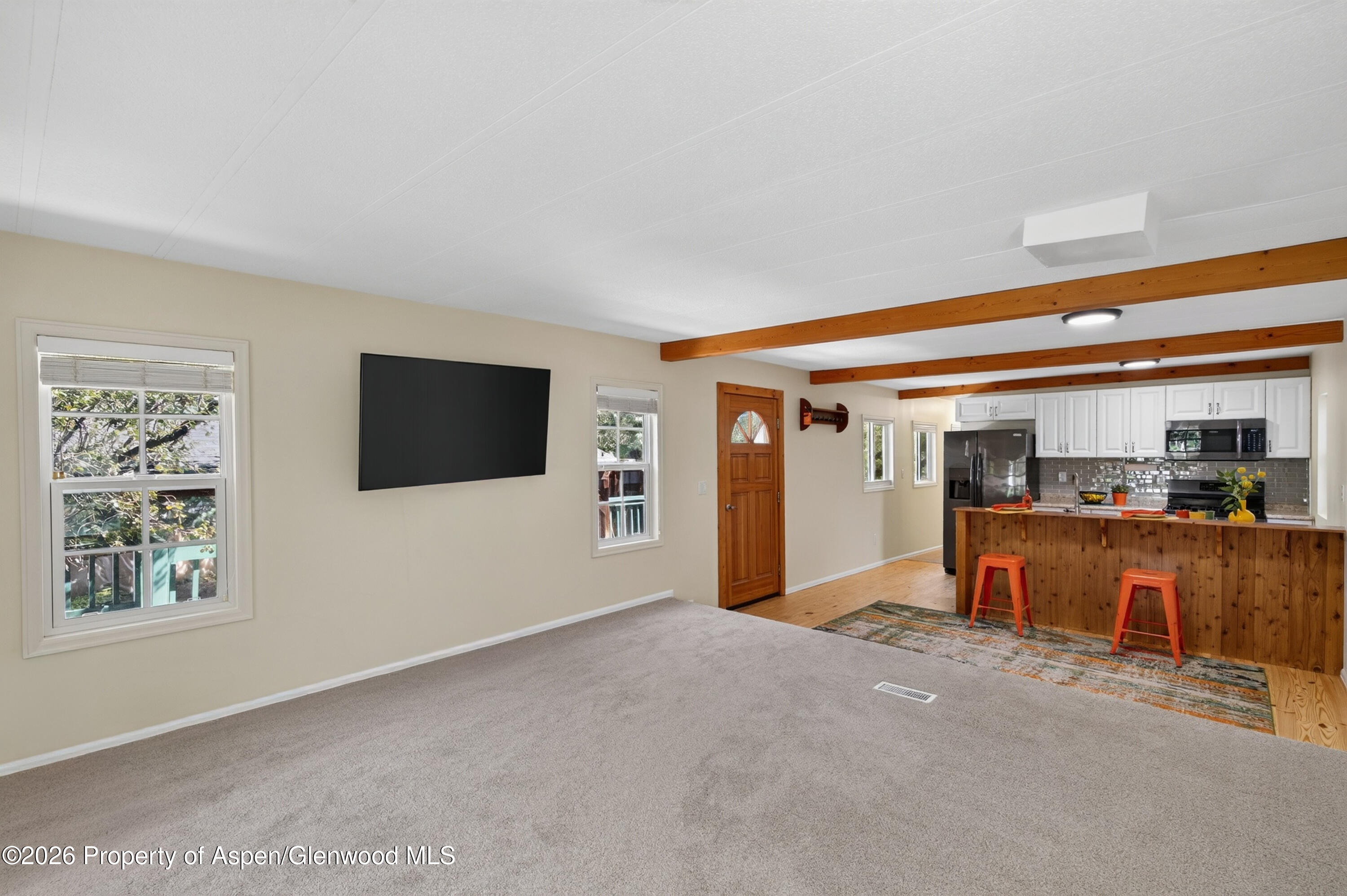 49 Grey Wolf Aspen CO 81611