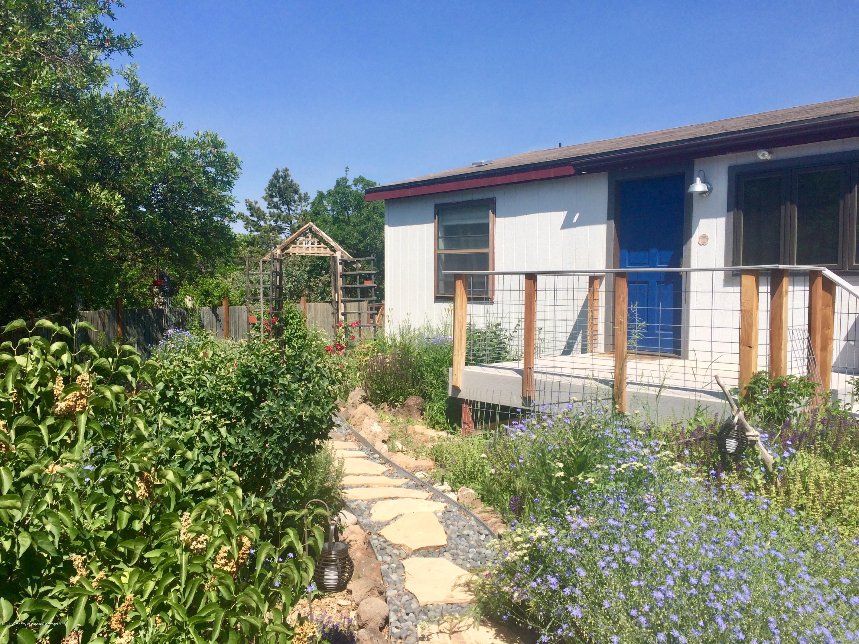21 Lava Drive Carbondale CO 81623