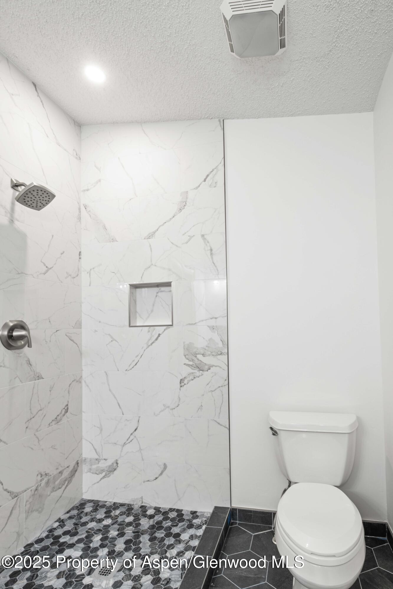 161 James Circle Eljebel CO 81623