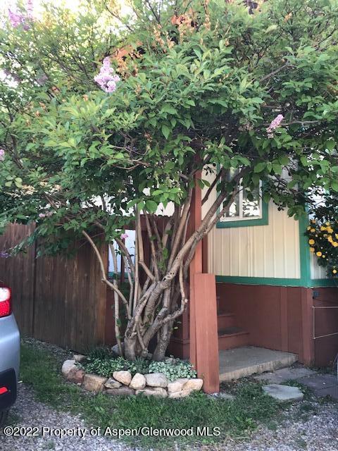 107 Maple Lane Aspen CO 81611