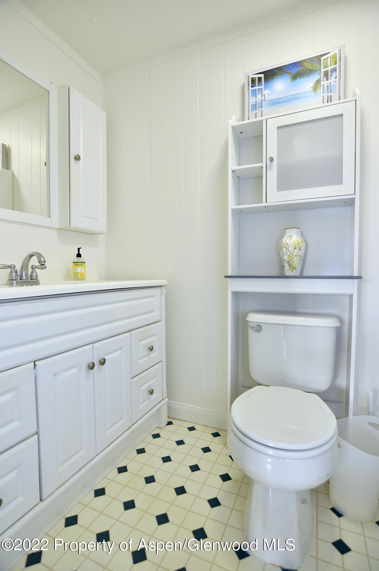 107 Maple Lane Aspen CO 81611