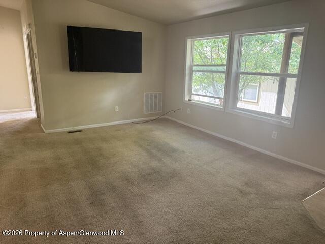 2307 County Road 154 #28 Glenwood Springs CO 81601