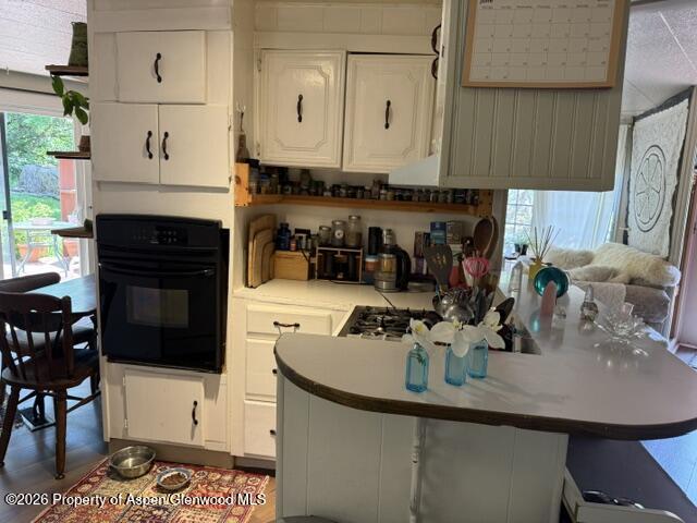 12 Phillips Hillside Snowmass CO 81654