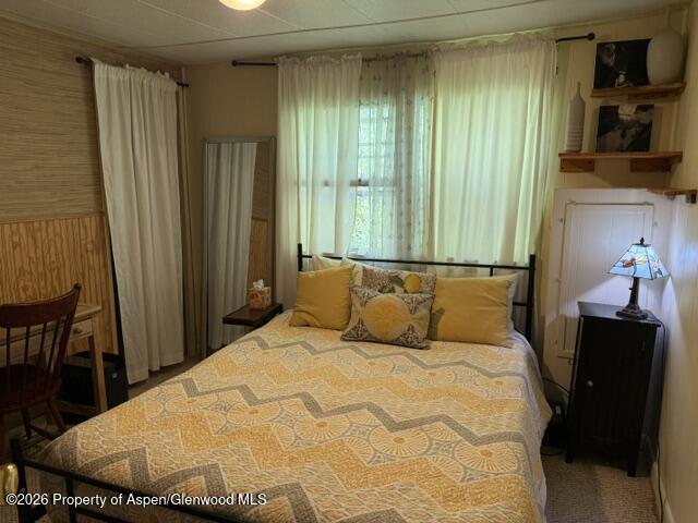 12 Phillips Hillside Snowmass CO 81654