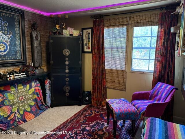 12 Phillips Hillside Snowmass CO 81654