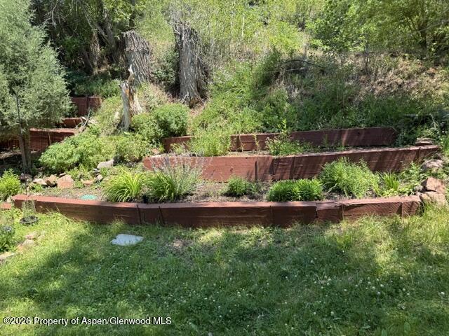 12 Phillips Hillside Snowmass CO 81654