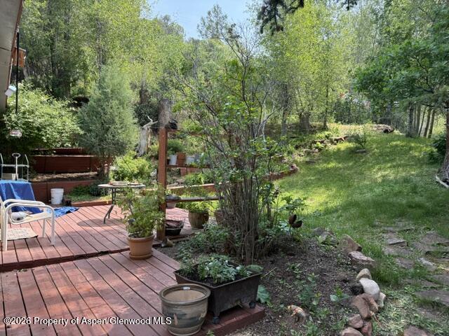 12 Phillips Hillside Snowmass CO 81654