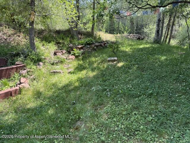 12 Phillips Hillside Snowmass CO 81654