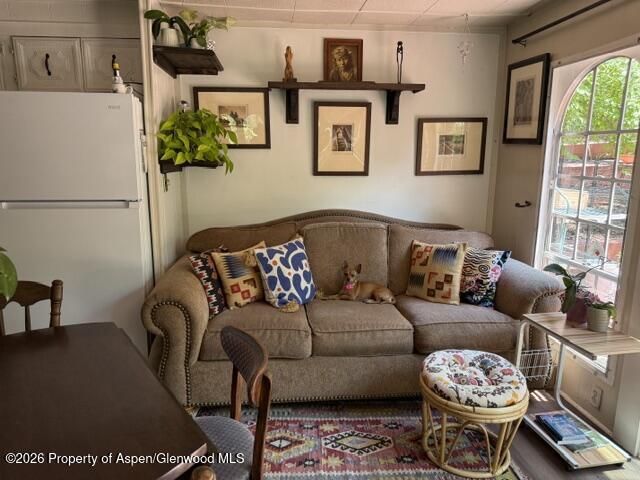 12 Phillips Hillside Snowmass CO 81654