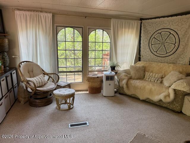 12 Phillips Hillside Snowmass CO 81654