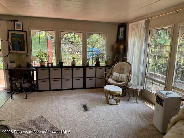 12 Phillips Hillside Snowmass CO 81654