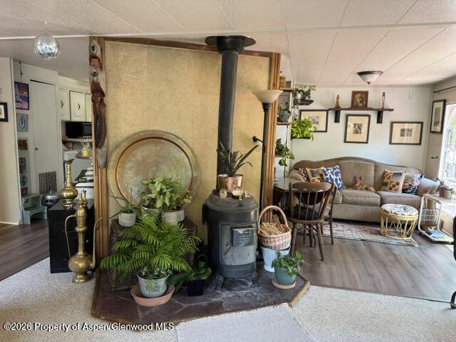 12 Phillips Hillside Snowmass CO 81654