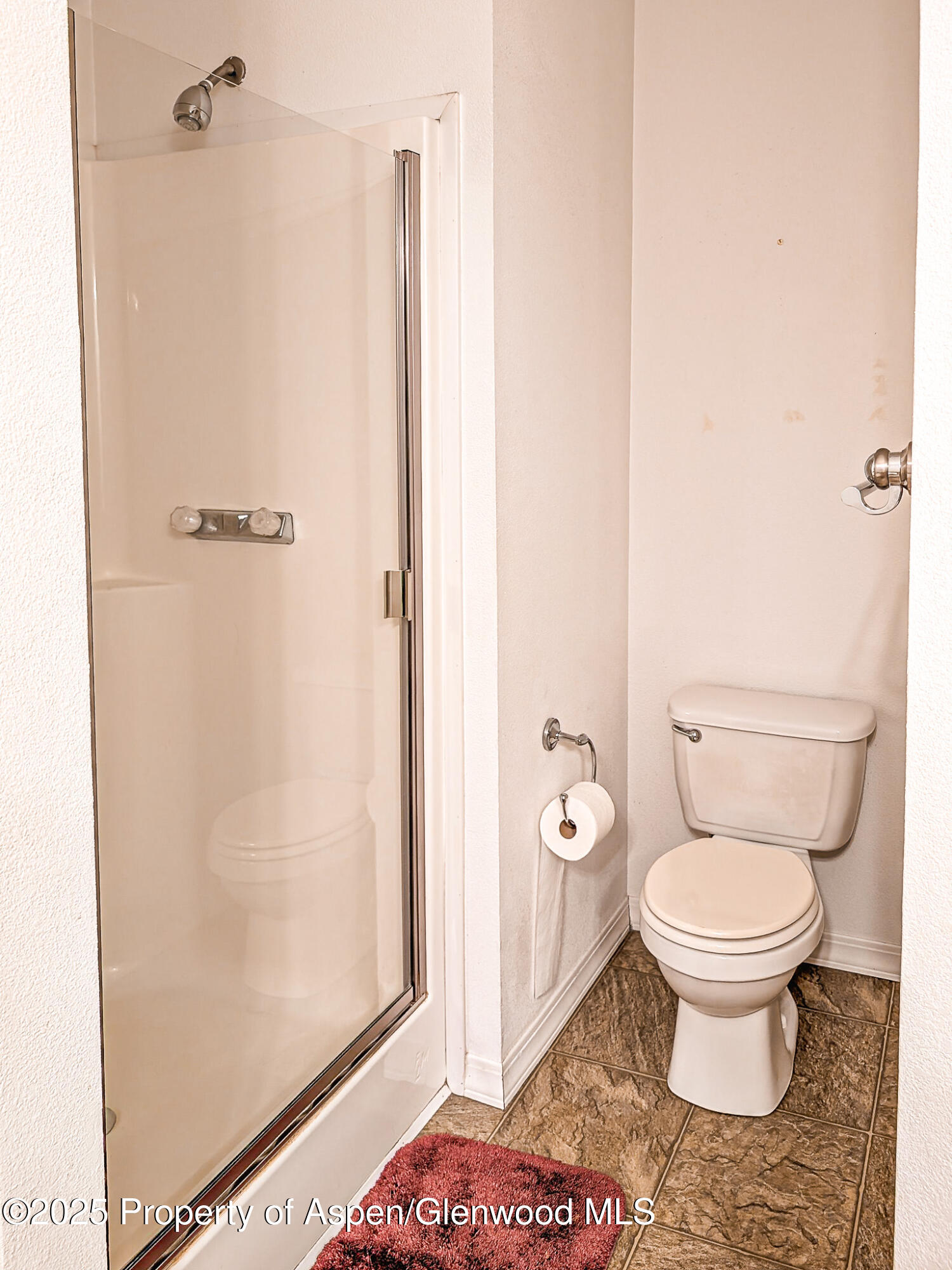 1031 Sprucewood Lane Glenwood Springs CO 81601