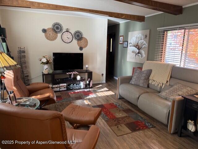 5387 County Road 154 #64 Glenwood Springs CO 81601