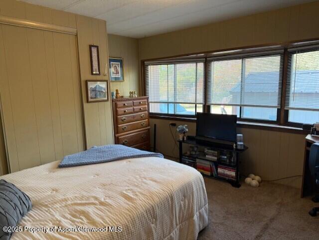 5387 County Road 154 #64 Glenwood Springs CO 81601