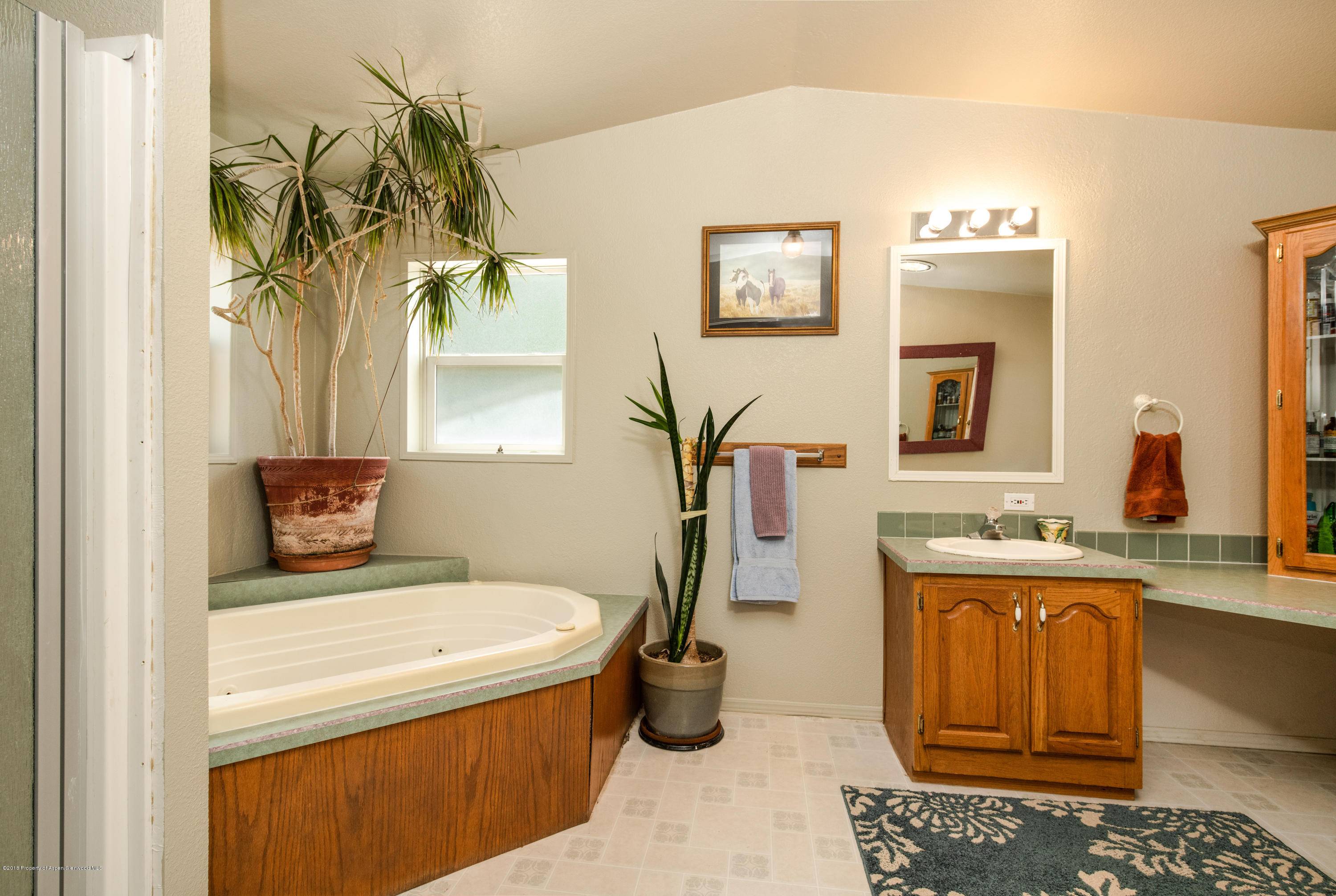 98 Lazy Glen Snowmass CO 81654