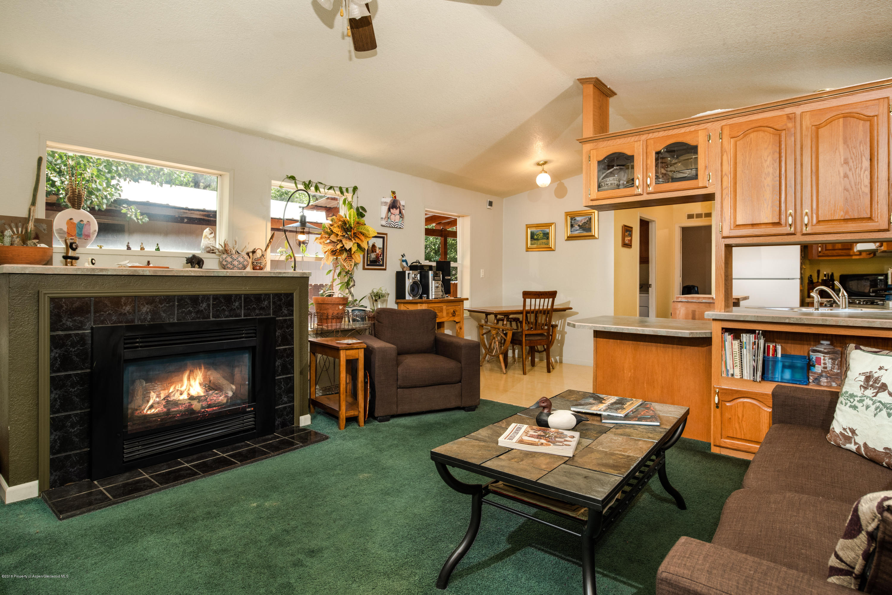 98 Lazy Glen Snowmass CO 81654