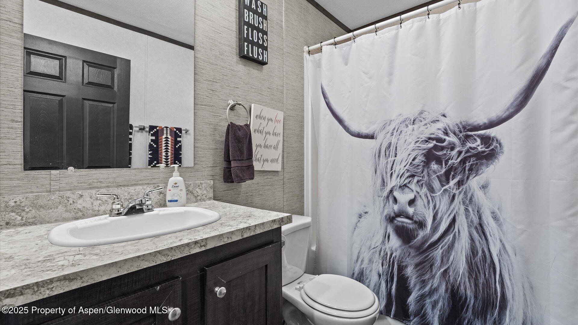 28 Iron Wedge Circle Parachute CO 81635