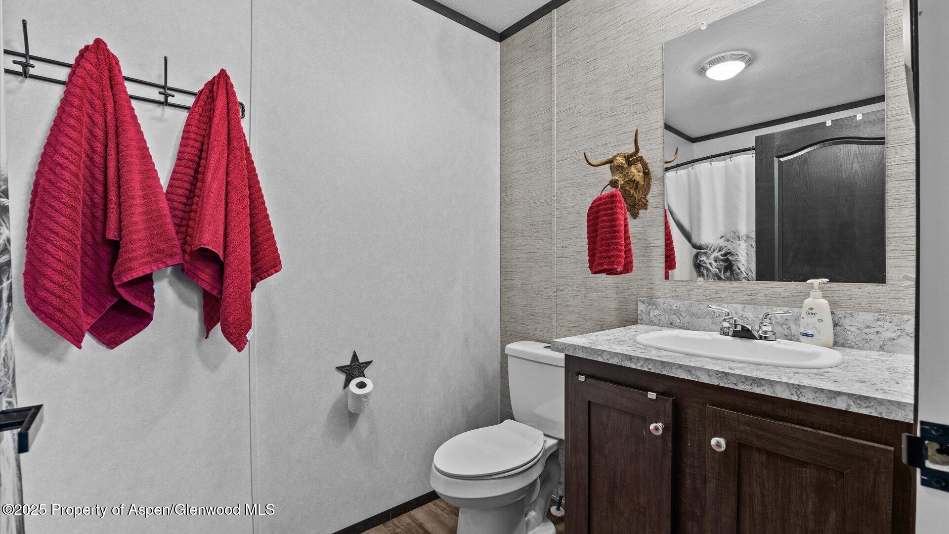 28 Iron Wedge Circle Parachute CO 81635