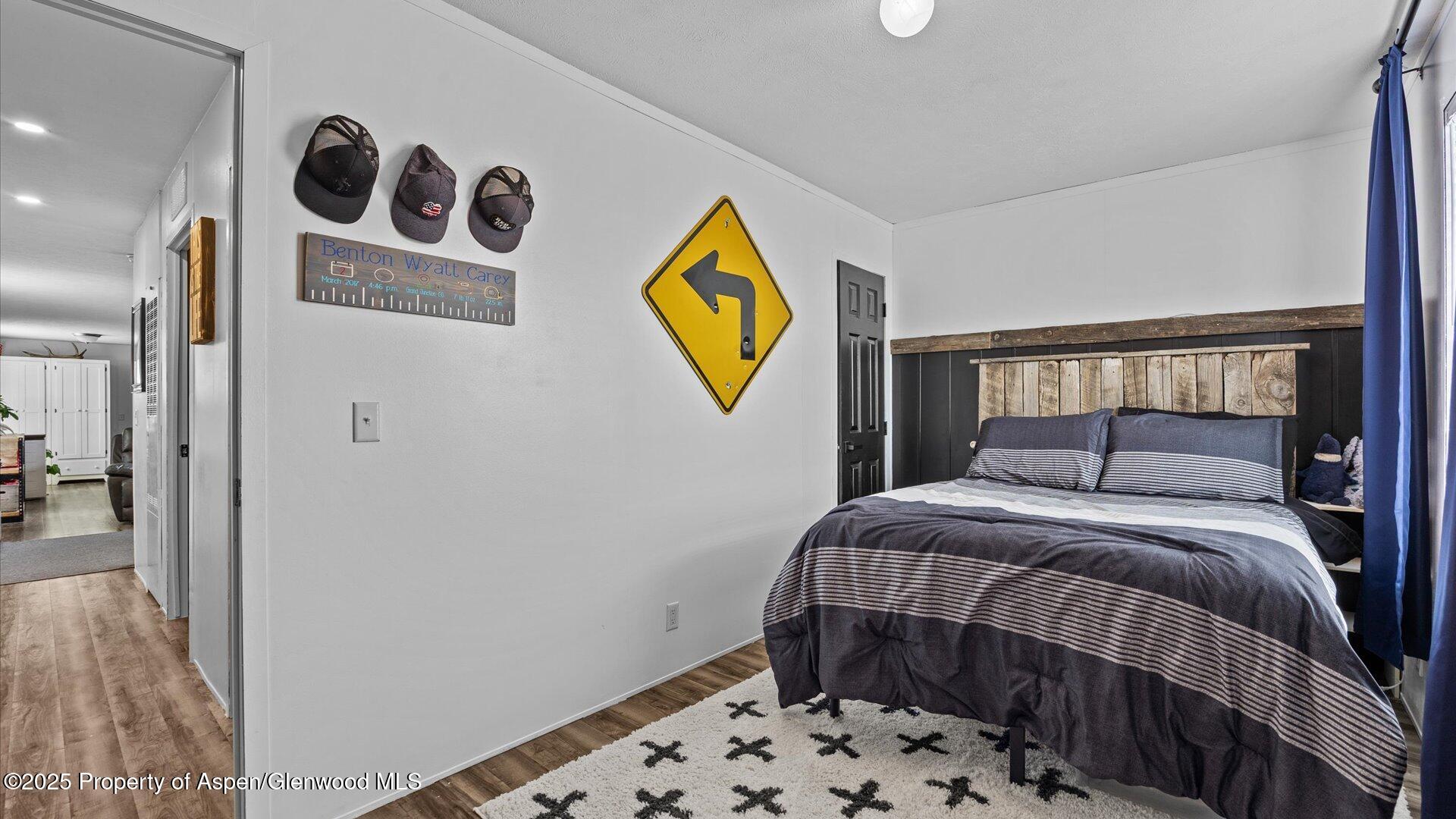 28 Iron Wedge Circle Parachute CO 81635