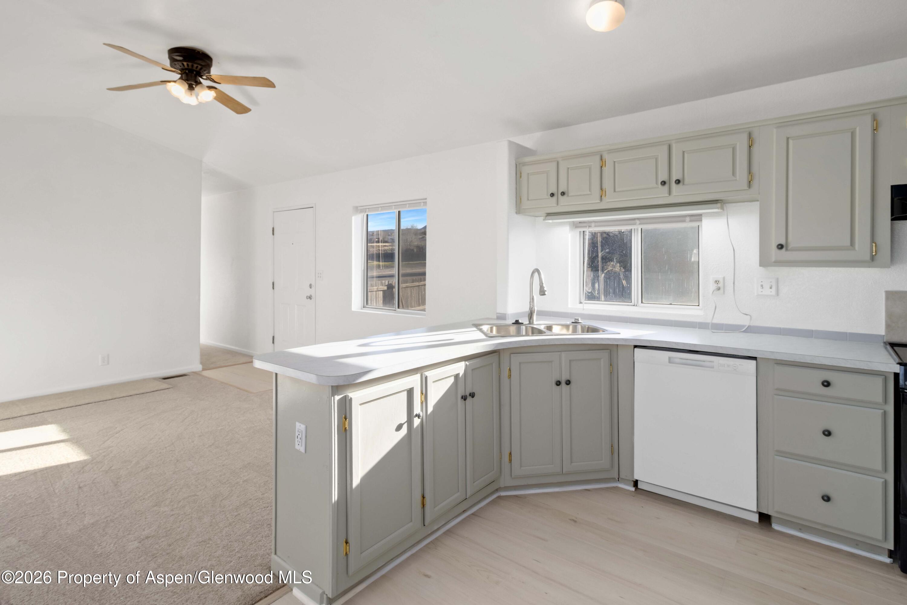 181 Silver Queen Circle Parachute CO 81635