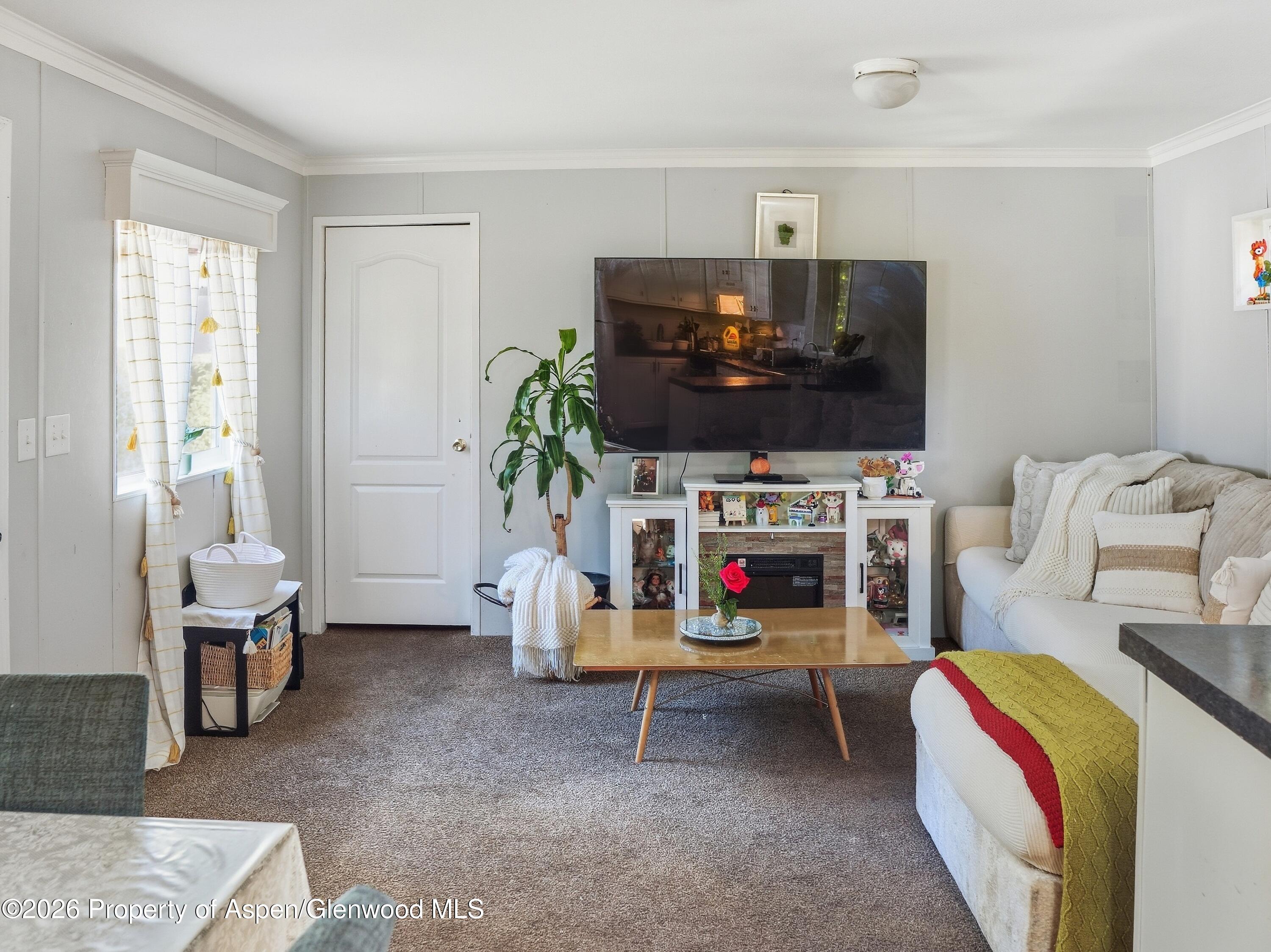 210 W Homestead Drive Basalt CO 81621