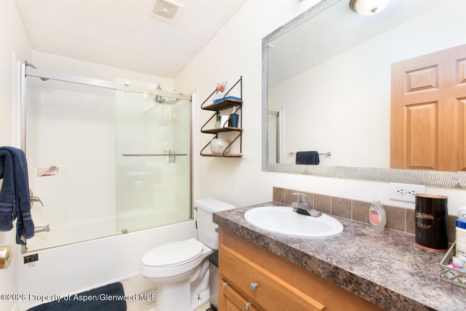 1900 Willits Lane Basalt CO 81621